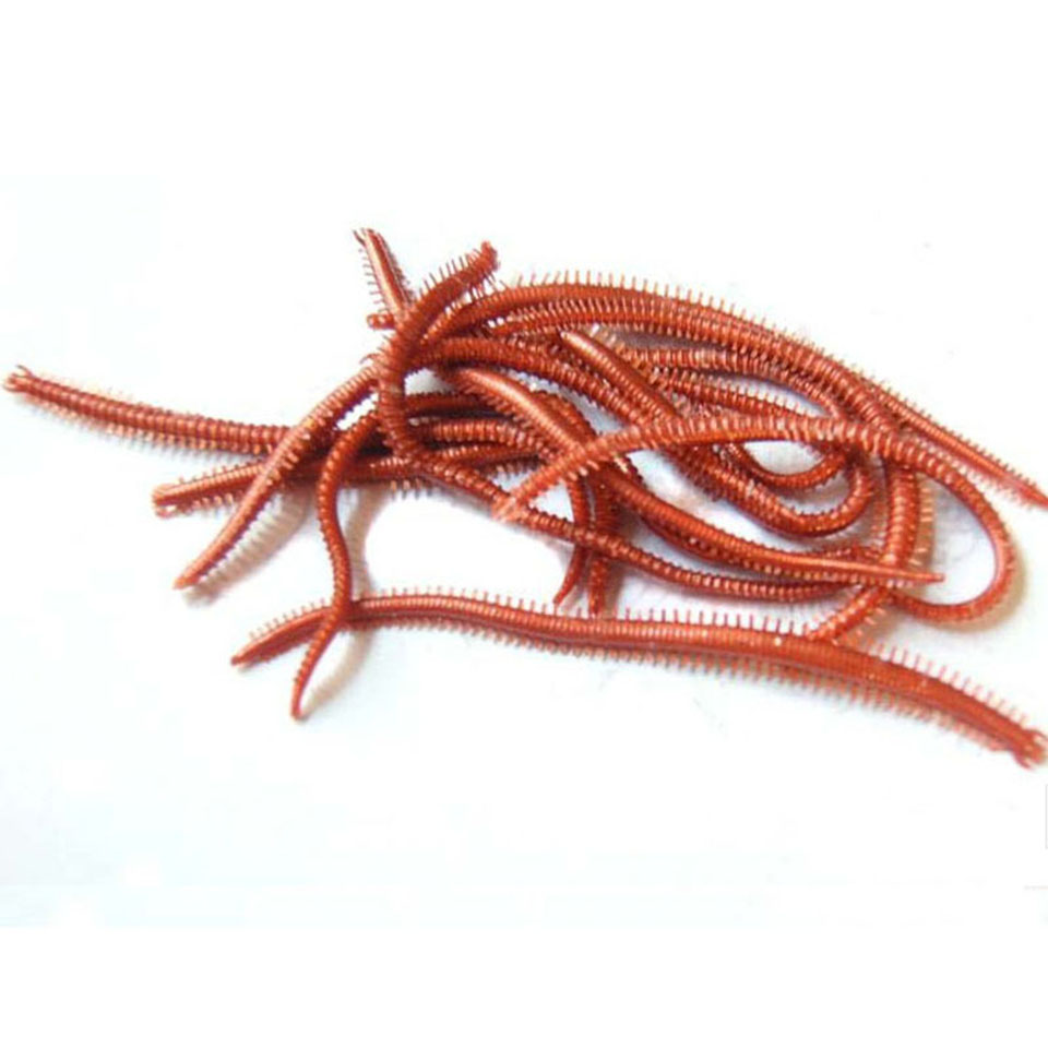 10 ชิ้น/ล็อตประดิษฐ์หนอนทะเล 1 - Fishing Lure Soft Plastic บทวิจารณ์และราคา
